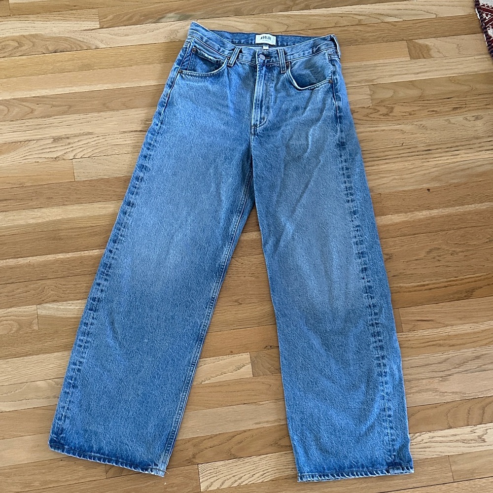 Agolde Low Curve Jean 26
